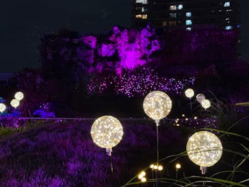 サンシャイン水族館に投稿された画像（2024/9/29）