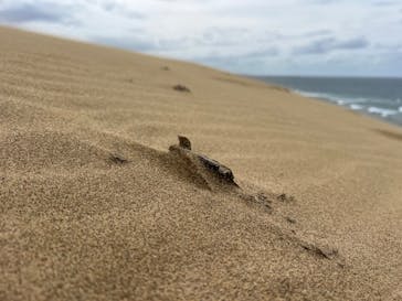 TRAIL ON（トレイル オン）に投稿された画像（2024/9/29）