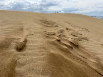 TRAIL ON（トレイル オン）に投稿された画像（2024/9/29）