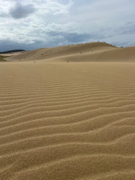 TRAIL ON（トレイル オン）に投稿された画像（2024/9/29）