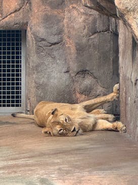 天王寺動物園に投稿された画像（2024/9/29）