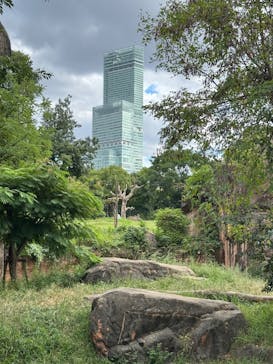 天王寺動物園に投稿された画像（2024/9/29）