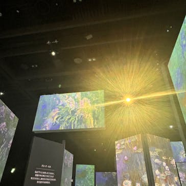 モネ＆フレンズ・アライブに投稿された画像（2024/9/29）