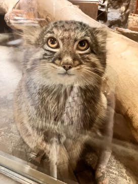 恩賜上野動物園に投稿された画像（2024/9/29）