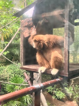 恩賜上野動物園に投稿された画像（2024/9/29）