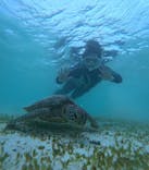 nico 宮古島に投稿された画像（2024/9/30）