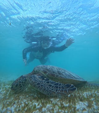 nico 宮古島に投稿された画像（2024/9/29）