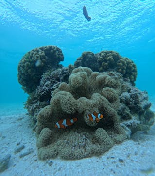 nico 宮古島に投稿された画像（2024/9/29）