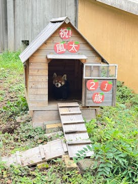 千葉市動物公園に投稿された画像（2024/9/29）