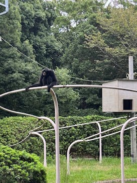 千葉市動物公園に投稿された画像（2024/9/29）