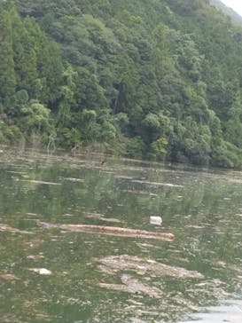 カヌーリゾートたまよどに投稿された画像（2024/9/25）