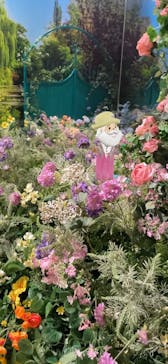 モネ＆フレンズ・アライブに投稿された画像（2024/9/29）