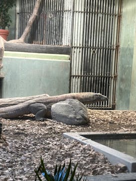 名古屋市東山動植物園に投稿された画像（2024/9/29）