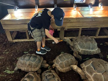体感型動物園iZooに投稿された画像（2024/9/30）
