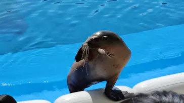 仙台うみの杜水族館に投稿された画像（2024/9/30）