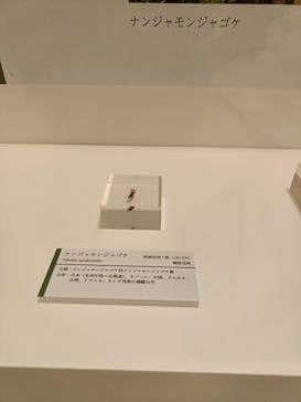 国立科学博物館に投稿された画像（2024/9/30）