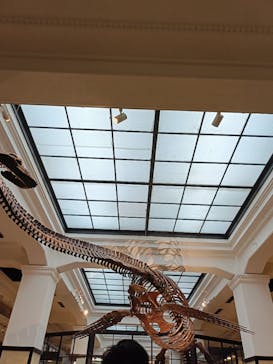 国立科学博物館に投稿された画像（2024/9/30）