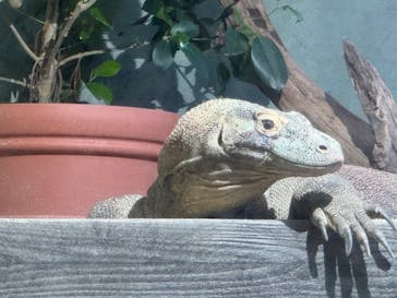 名古屋市東山動植物園に投稿された画像（2024/9/30）