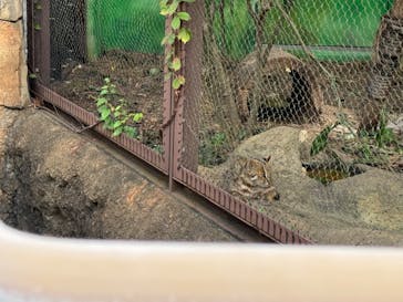 名古屋市東山動植物園に投稿された画像（2024/9/30）