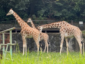 名古屋市東山動植物園に投稿された画像（2024/9/30）