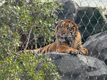 名古屋市東山動植物園に投稿された画像（2024/9/30）