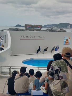 鴨川シーワールドに投稿された画像（2024/9/30）