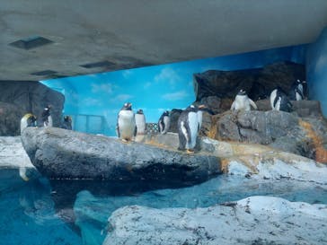 鴨川シーワールドに投稿された画像（2024/9/30）