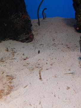 鴨川シーワールドに投稿された画像（2024/9/30）