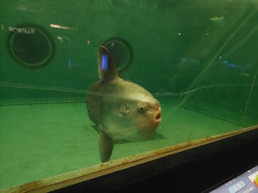 鴨川シーワールドに投稿された画像（2024/9/30）