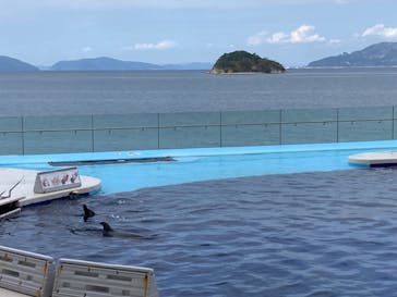 四国水族館に投稿された画像（2024/9/30）