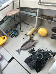 うぐるBOXに投稿された画像（2024/9/30）