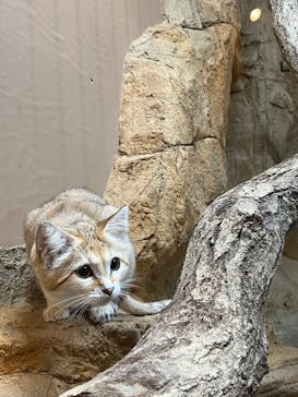 那須どうぶつ王国に投稿された画像（2024/9/30）