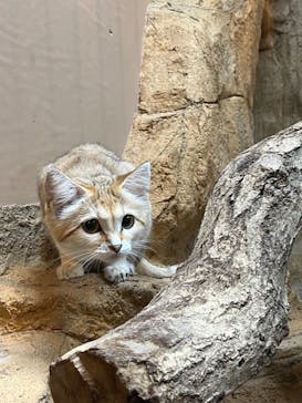 那須どうぶつ王国に投稿された画像（2024/9/30）