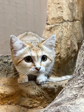 那須どうぶつ王国に投稿された画像（2024/9/30）