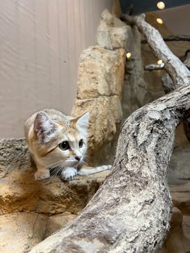 那須どうぶつ王国に投稿された画像（2024/9/30）