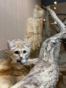 那須どうぶつ王国に投稿された画像（2024/9/30）