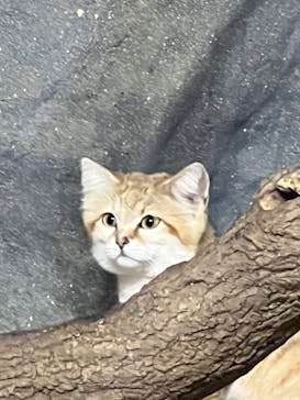 那須どうぶつ王国に投稿された画像（2024/9/30）