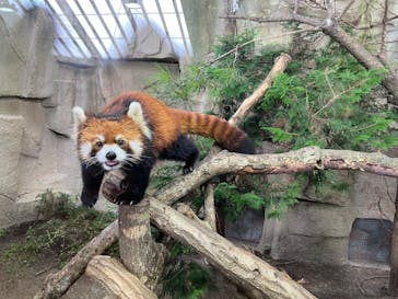 那須どうぶつ王国に投稿された画像（2024/9/30）