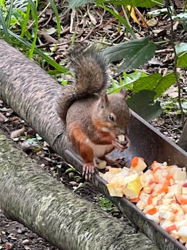 那須どうぶつ王国に投稿された画像（2024/9/30）