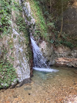 二尊院宿坊えんときに投稿された画像（2024/9/30）