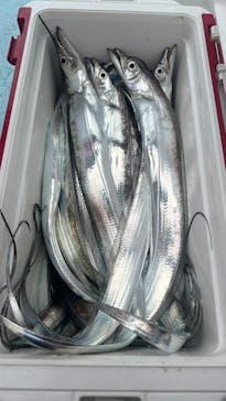 船釣り船上バーベキュー崎っぽ料理松新に投稿された画像（2024/9/30）