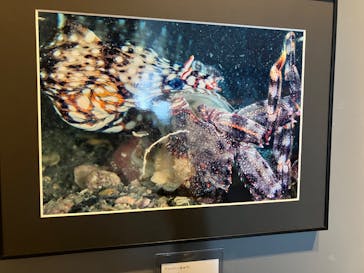 串本海中公園水族館に投稿された画像（2024/9/30）