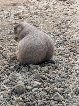 那須どうぶつ王国に投稿された画像（2024/9/30）