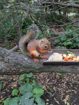 那須どうぶつ王国に投稿された画像（2024/9/30）