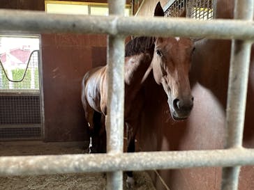 ノーザンホースパークに投稿された画像（2024/9/30）