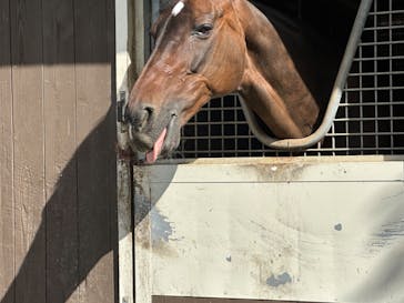 ノーザンホースパークに投稿された画像（2024/9/30）