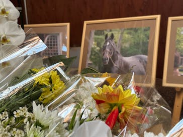 ノーザンホースパークに投稿された画像（2024/9/30）