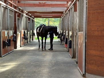 ノーザンホースパークに投稿された画像（2024/9/30）