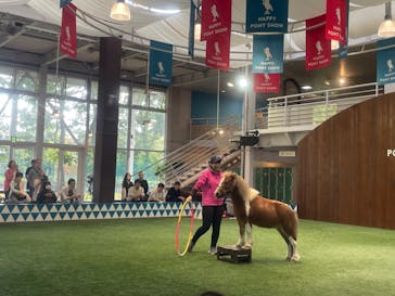 ノーザンホースパークに投稿された画像（2024/9/30）