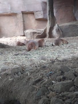 那須どうぶつ王国に投稿された画像（2024/9/30）